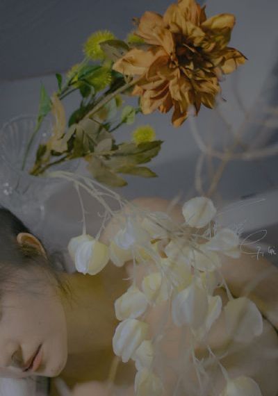 粉红大白菜_720完整版观看
