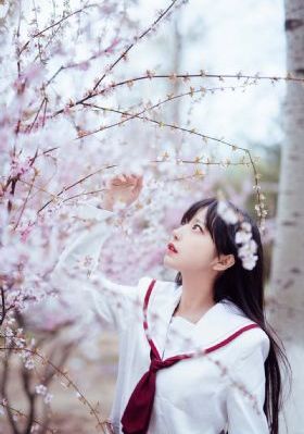 四虎最新网名_DVD天堂在线